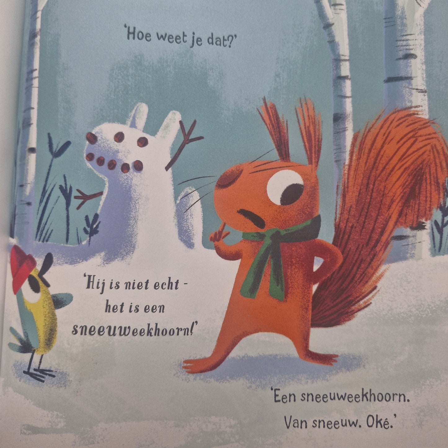De sneeuwdief