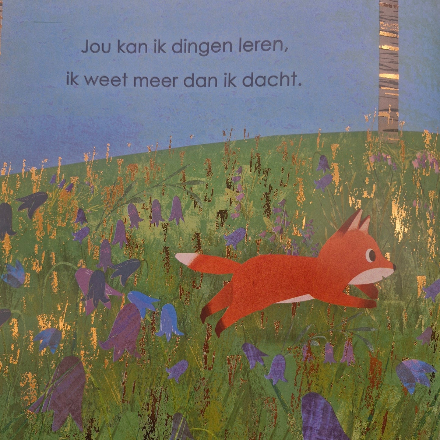 Toen ik jouw grote broer werd