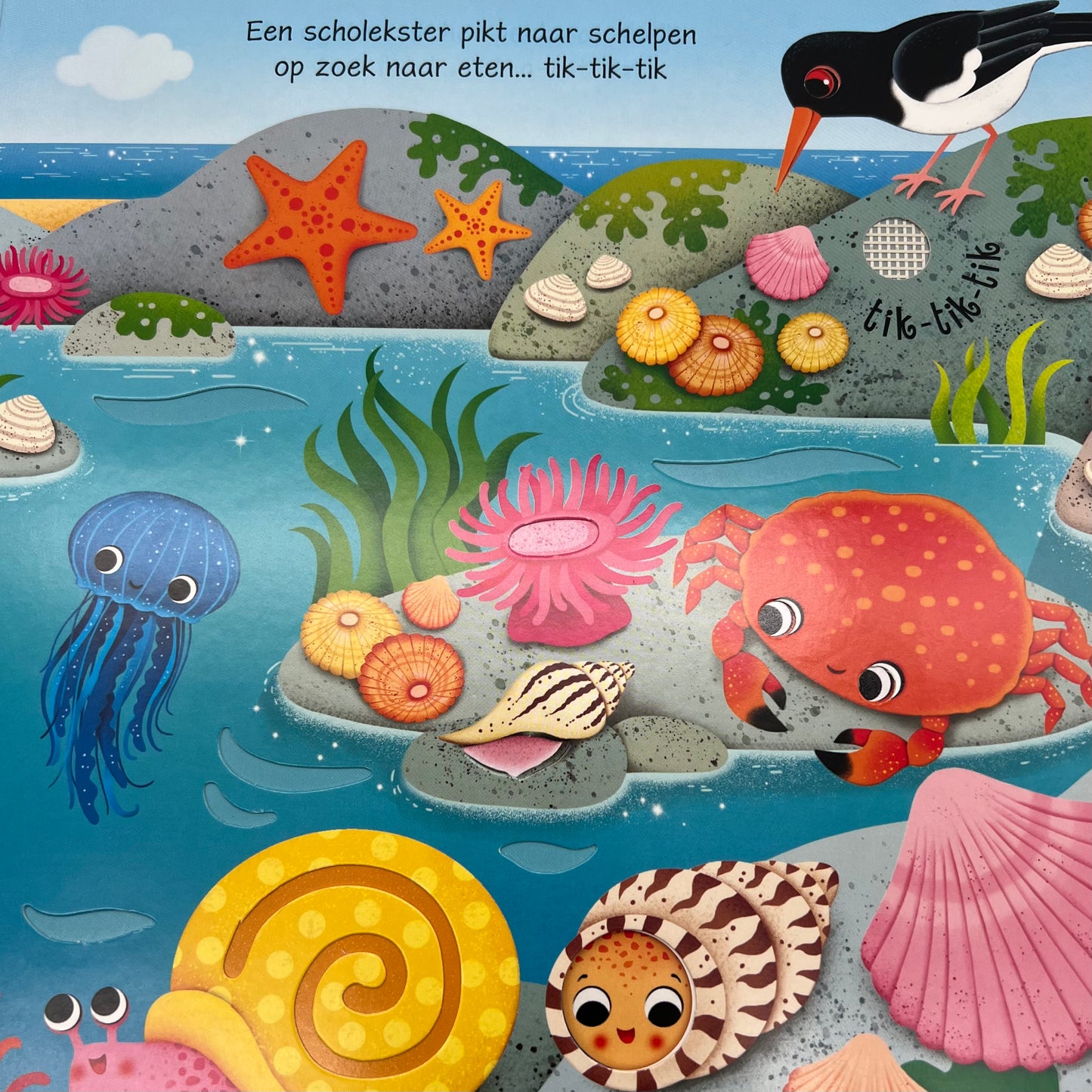 Geluiden boekjes