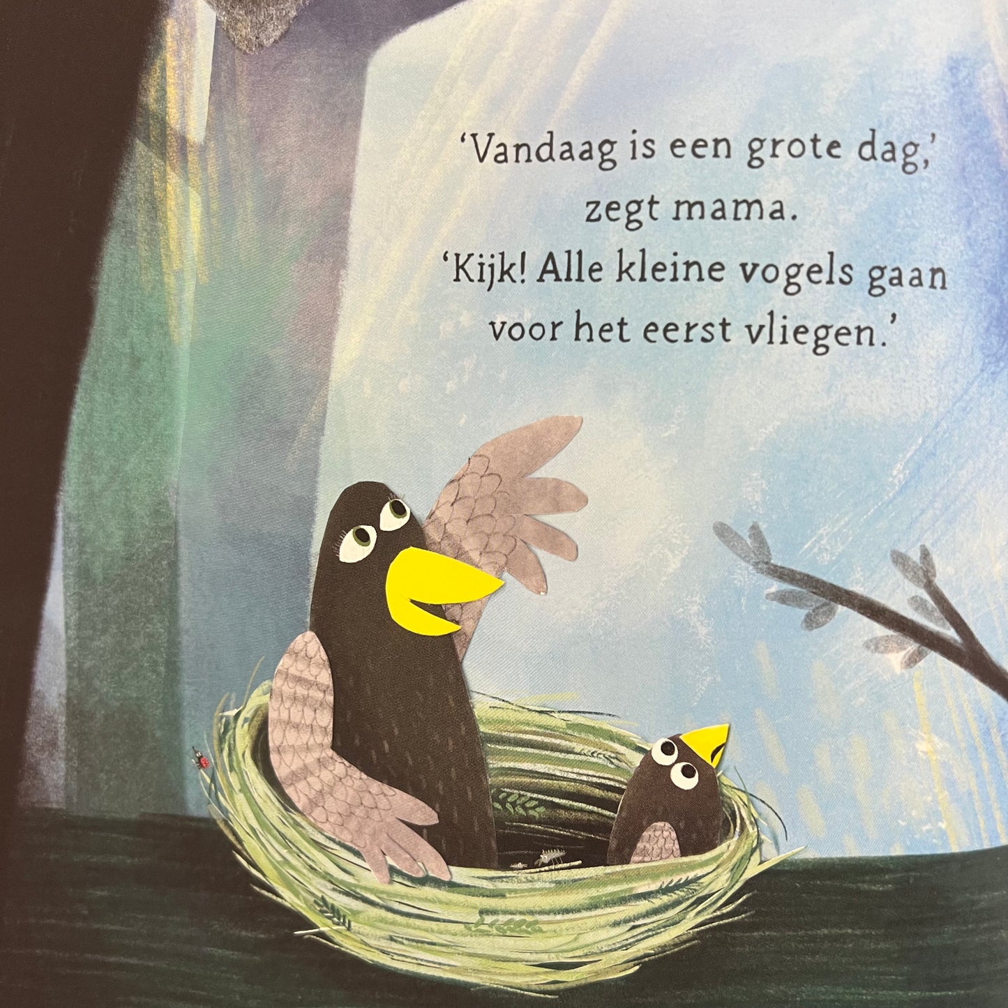 Coco kan het!