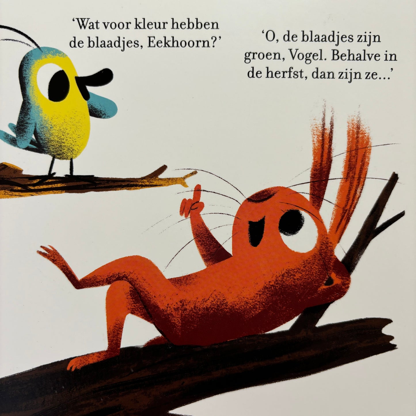 Eekhoorn en vogel Kleuren