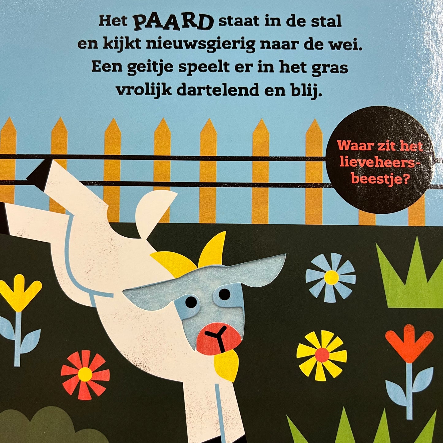 Zoek- en voelboek: Dieren....