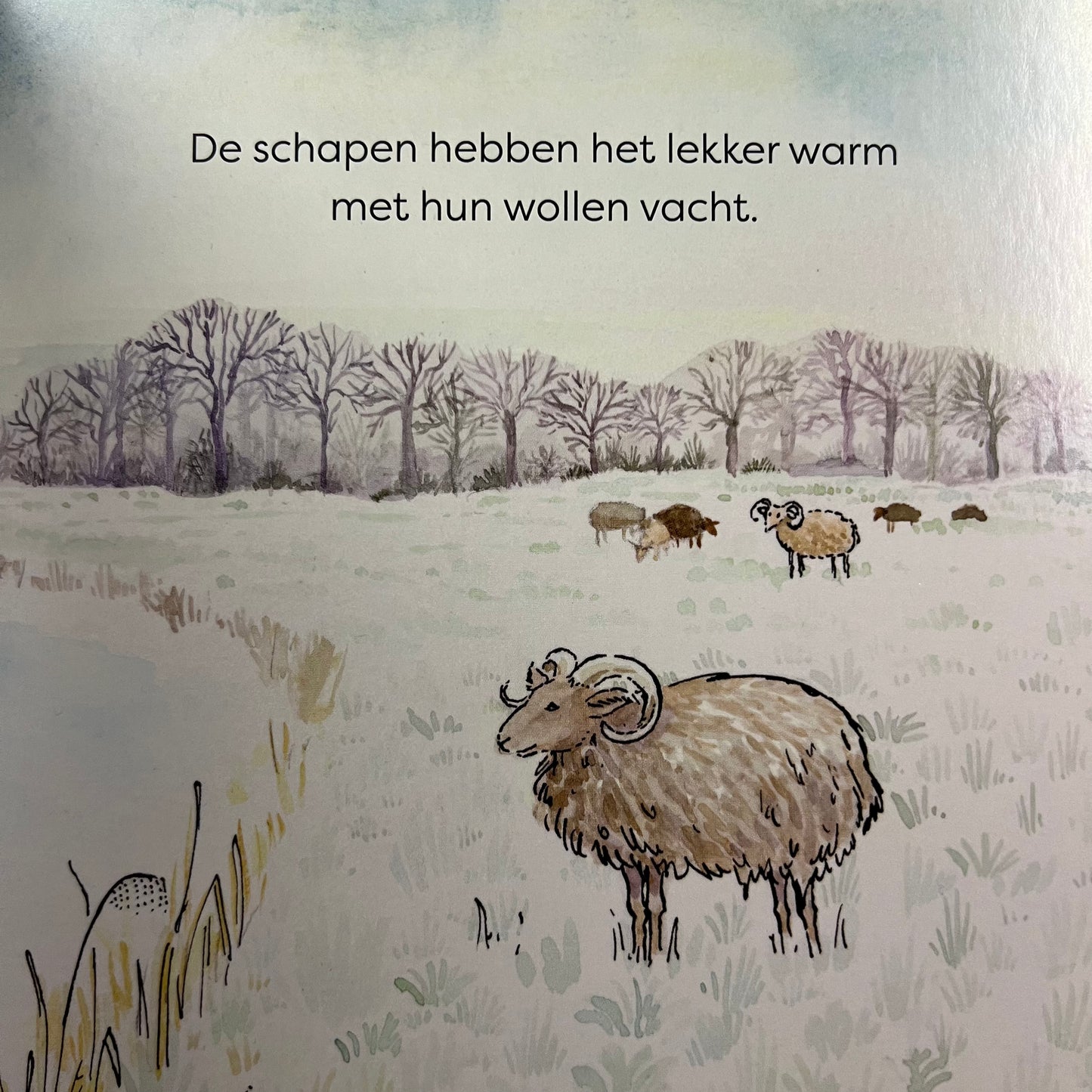 Spelen en ontdekken