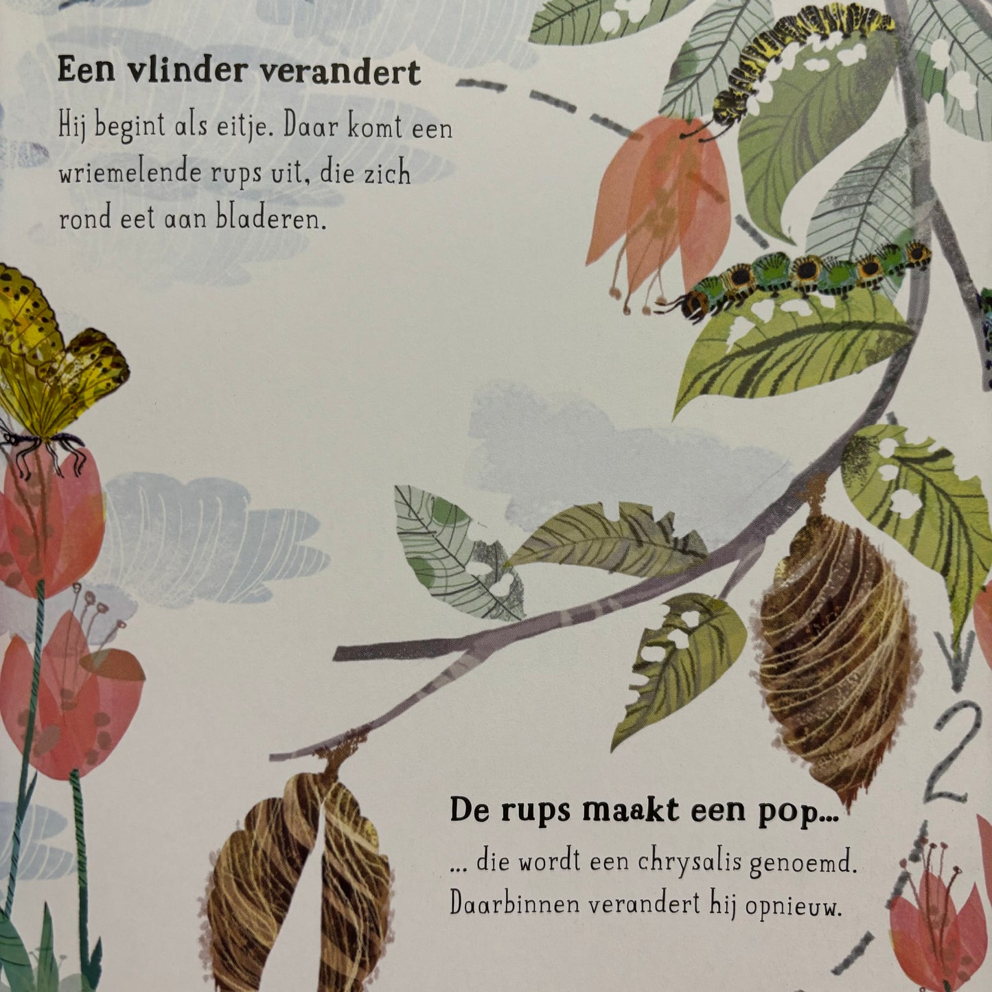 Het bijzondere beestjes boek