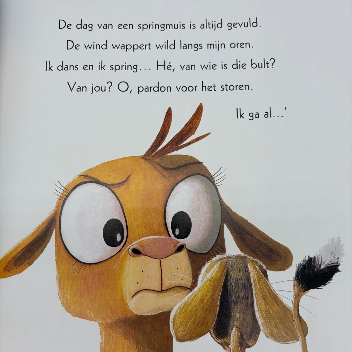 Lars de dwarse dromedaris
