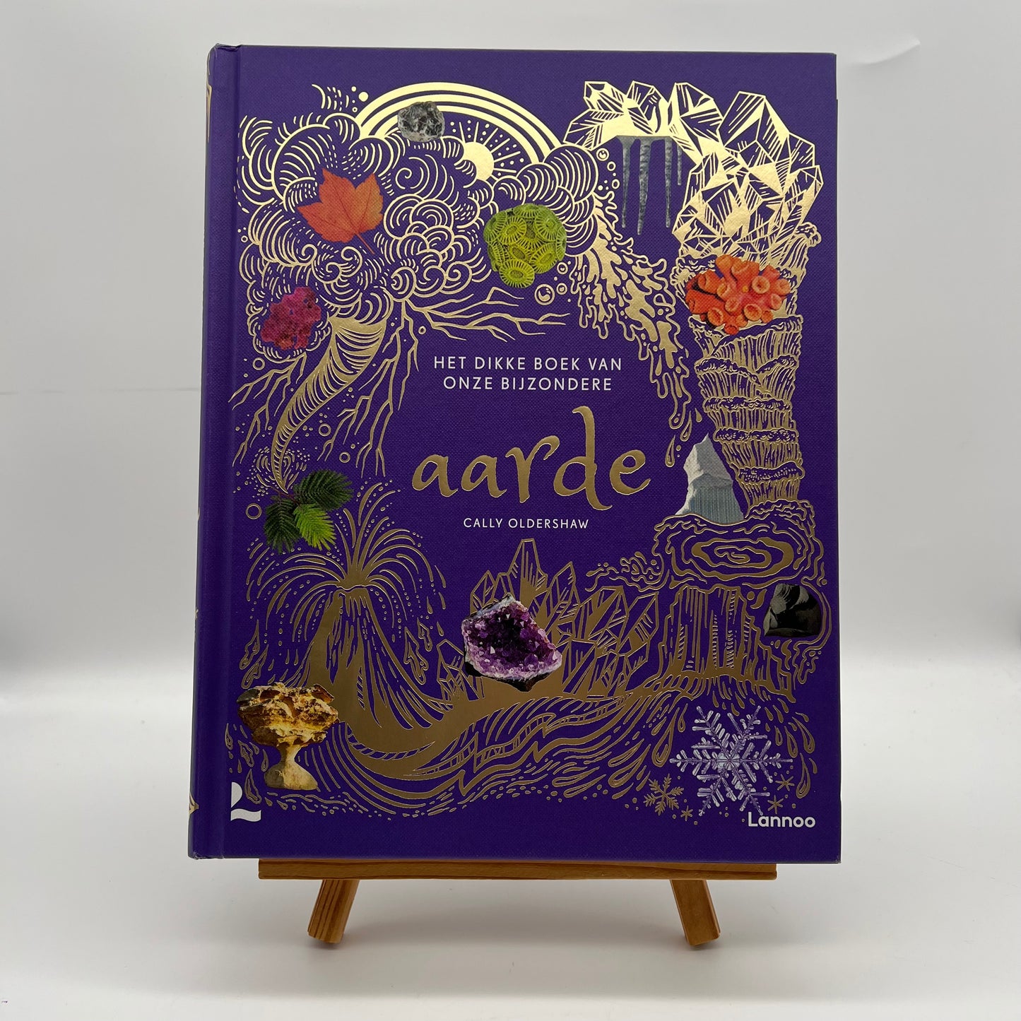 Het dikke boek van...