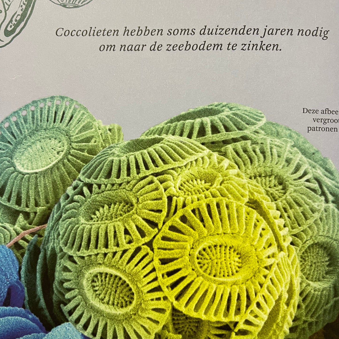 Het dikke boek van...
