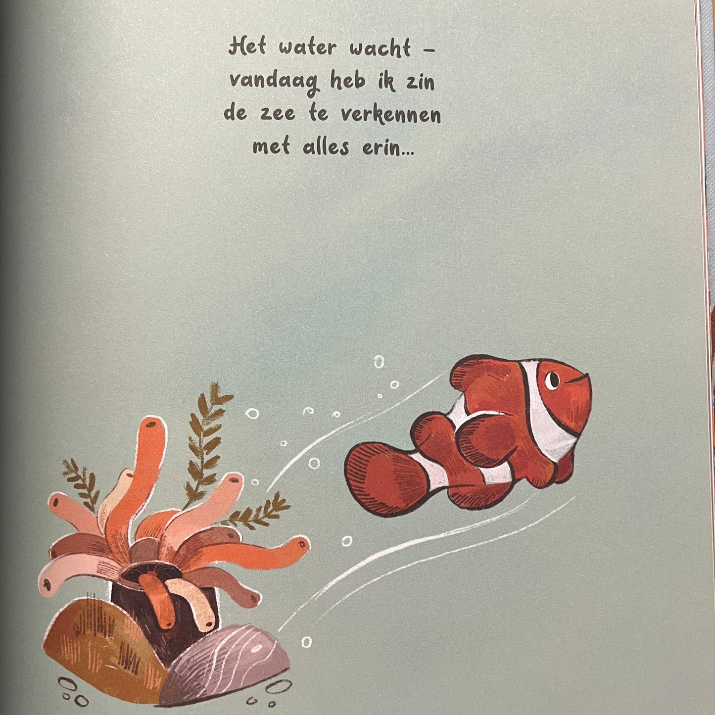 Een zee vol wonderen