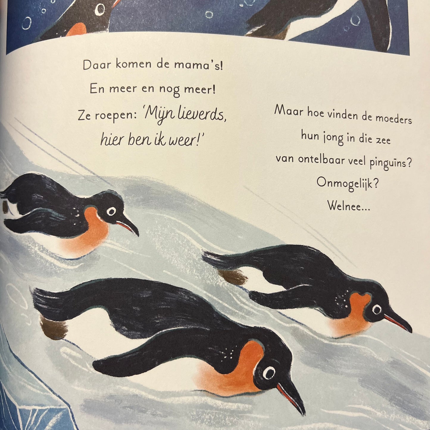 Een zee vol wonderen