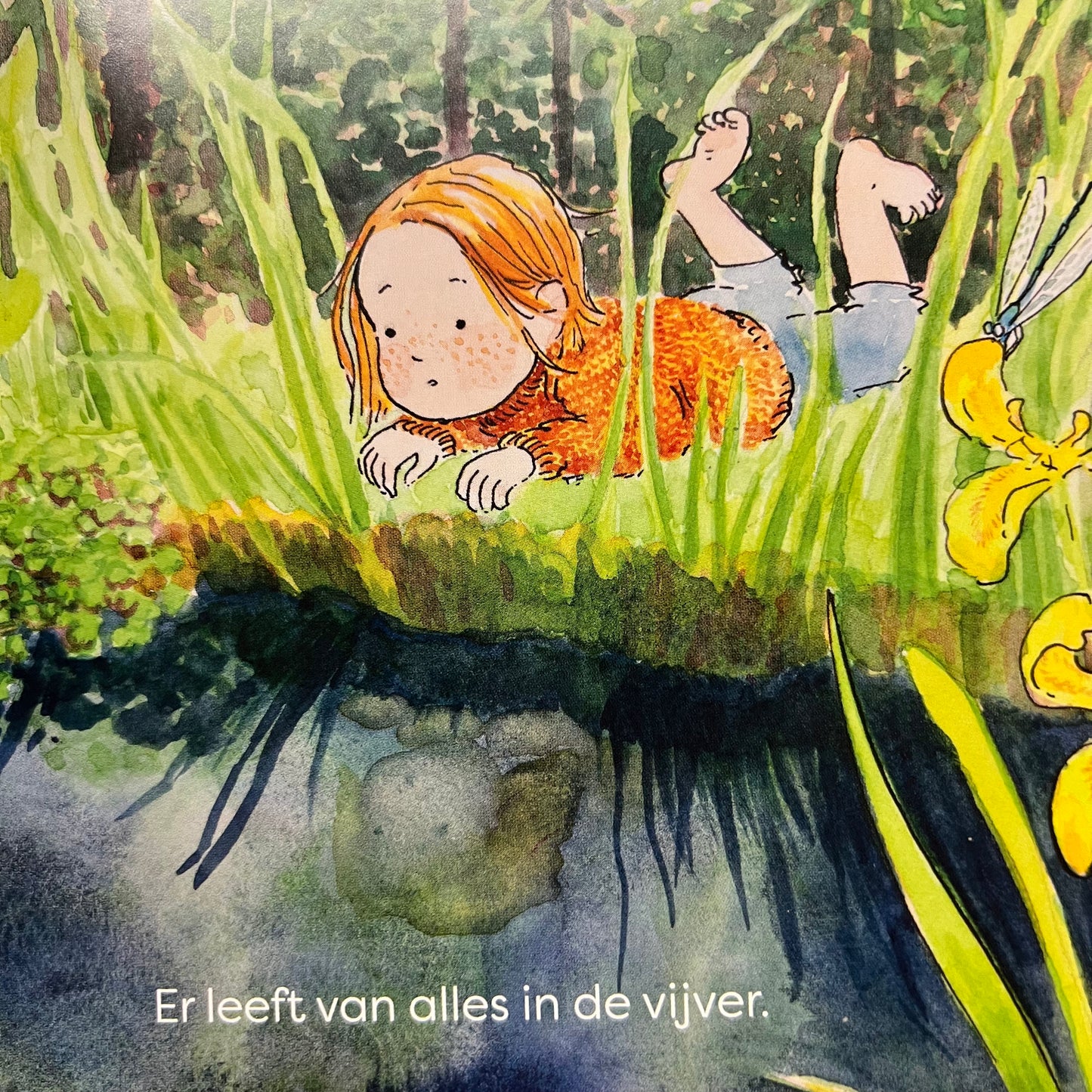 Spelen en ontdekken