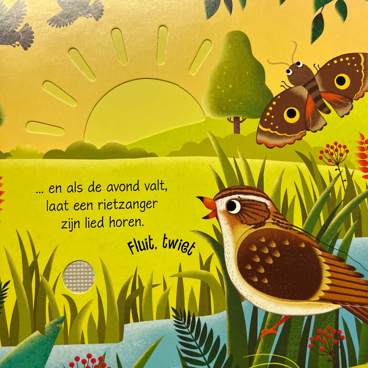 Geluiden boekjes