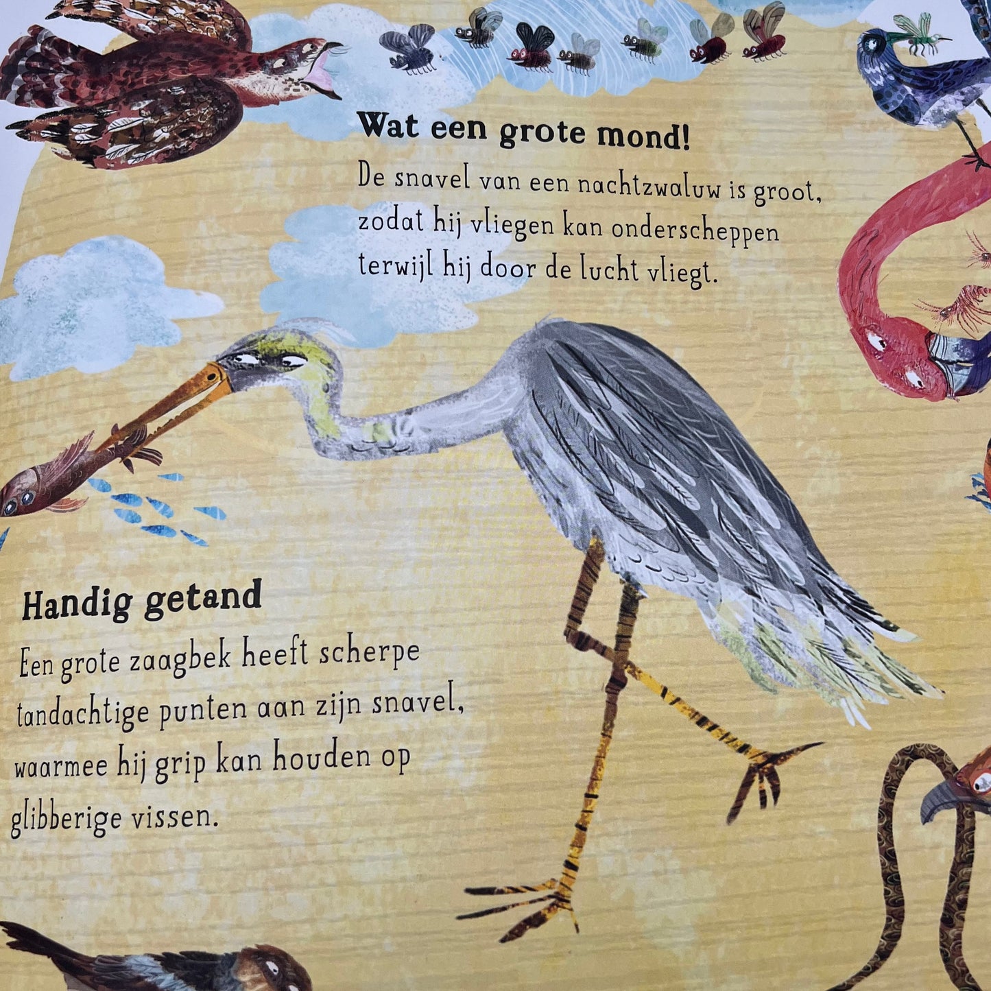 Het vrolijke vogelboek