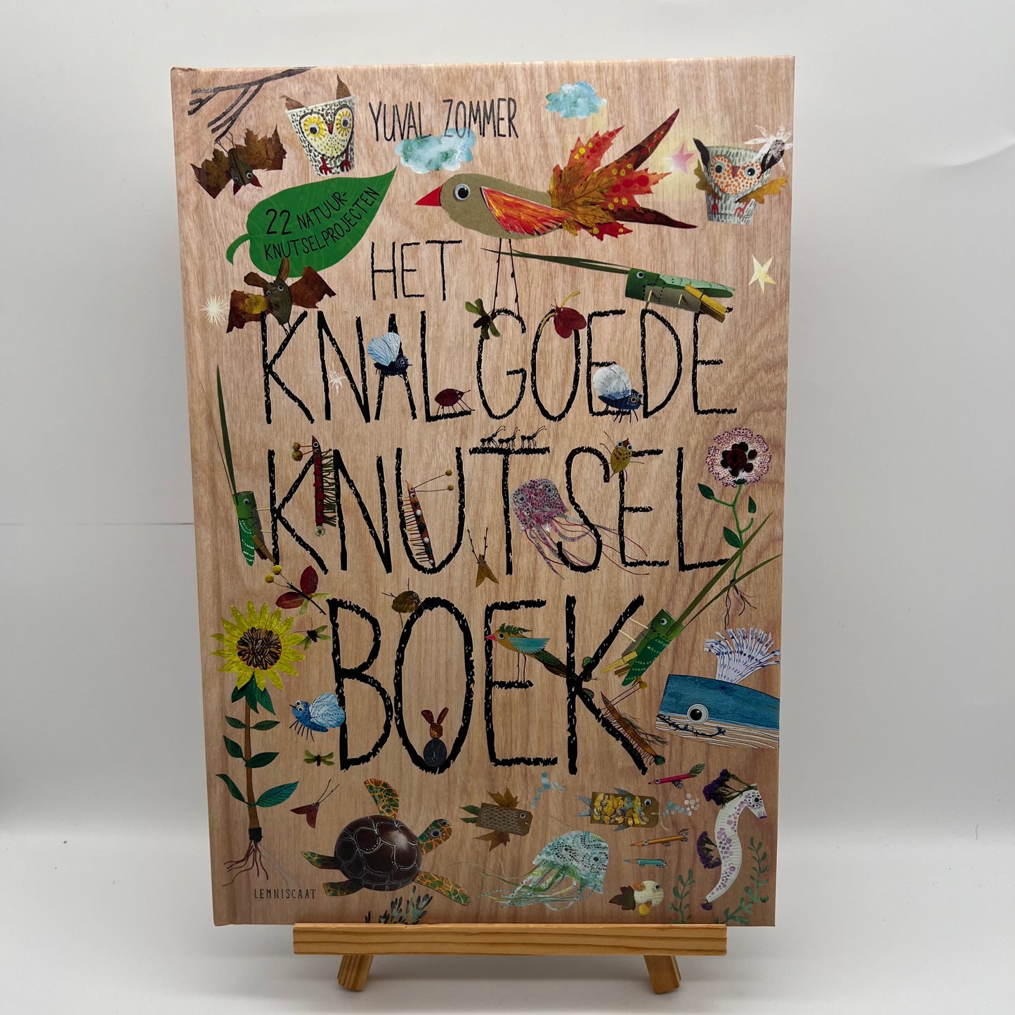 Het knalgoede knutselboek