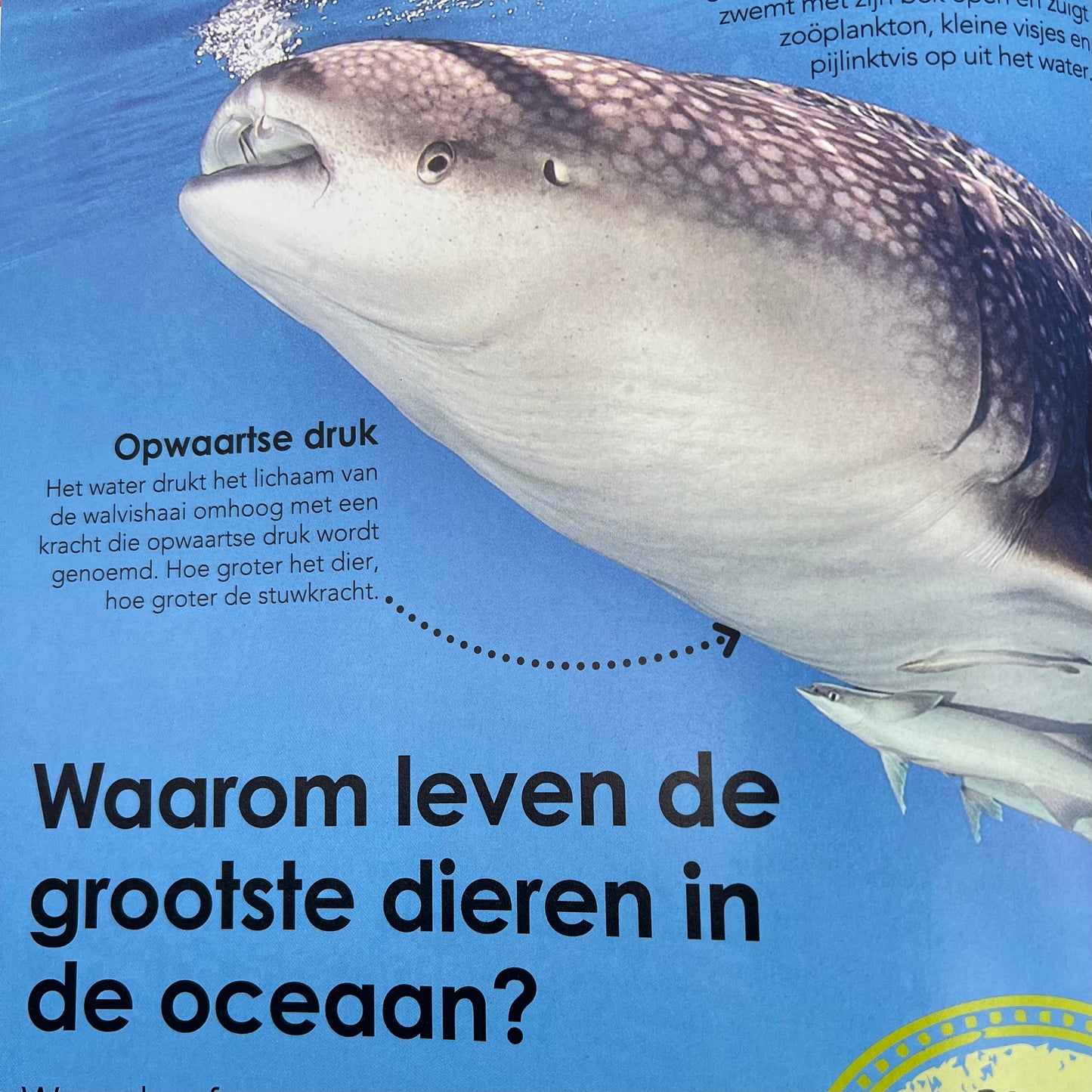 Waarom? de grote encylopedie over de...