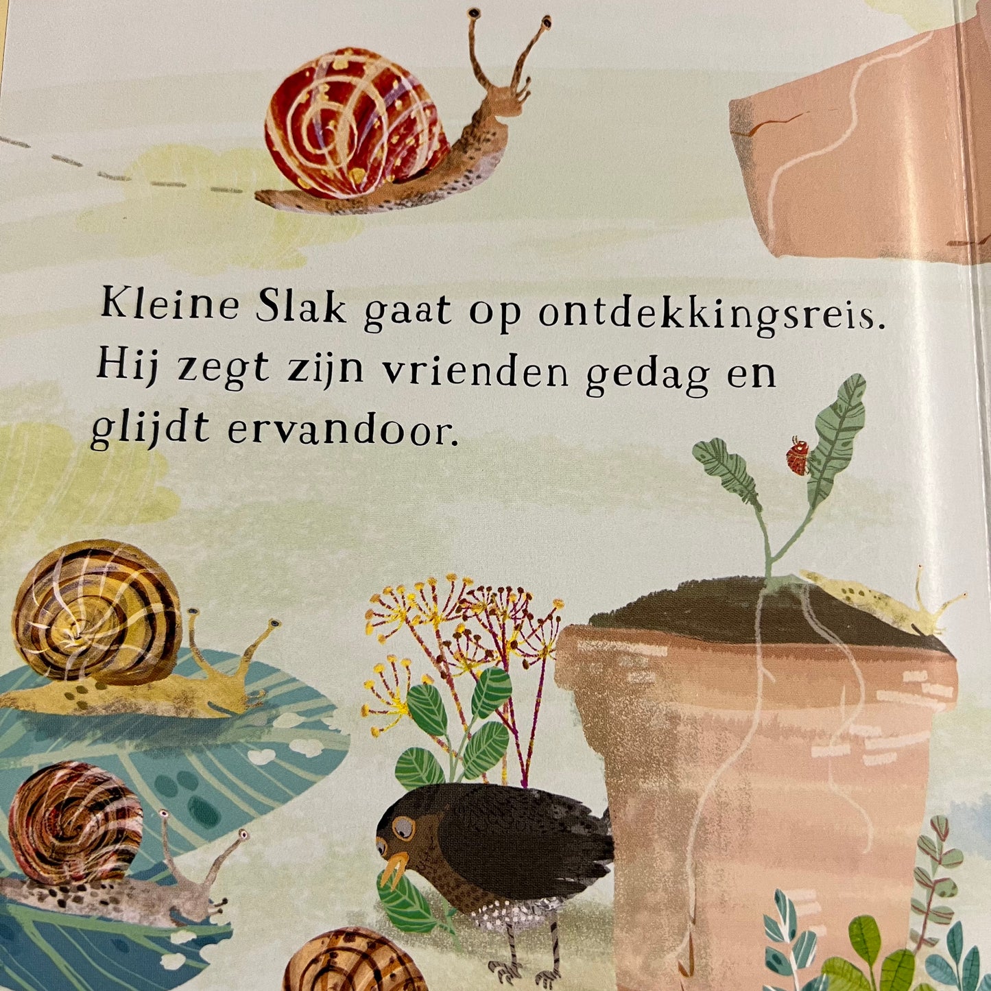 Het beestjesboek van Kleine Slak