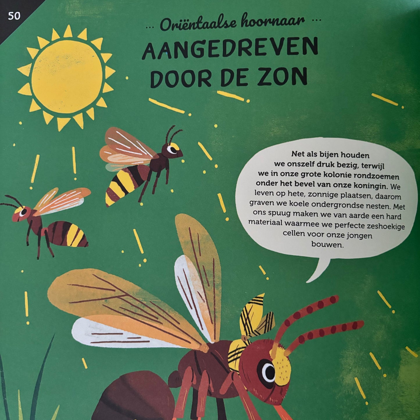 Dieren bouwsels