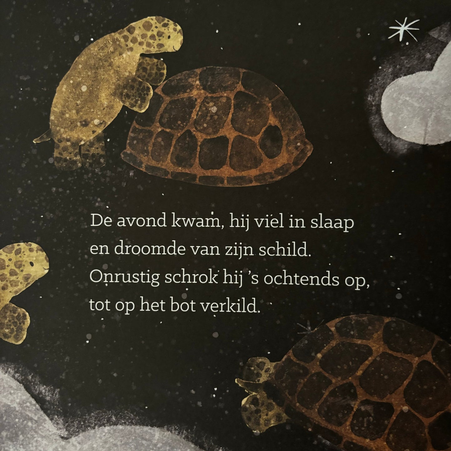 Een schildpad was zijn schildje kwijt