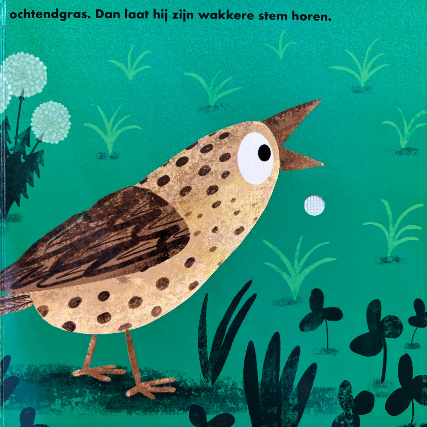 OEHOE Negen wakkere vogels - geluidenboekje