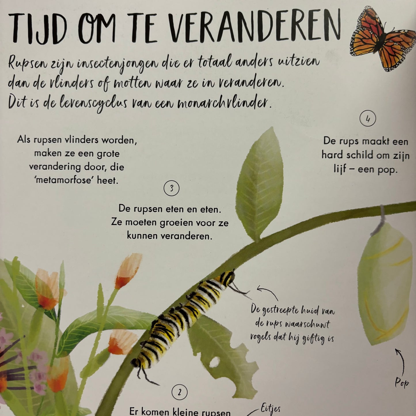 Mijn eerste natuurboek