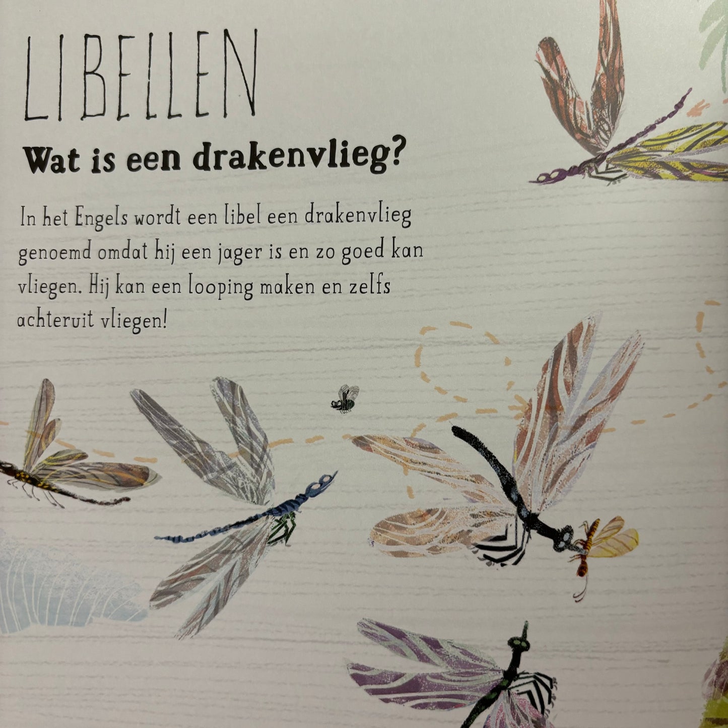 Het bijzondere beestjes boek