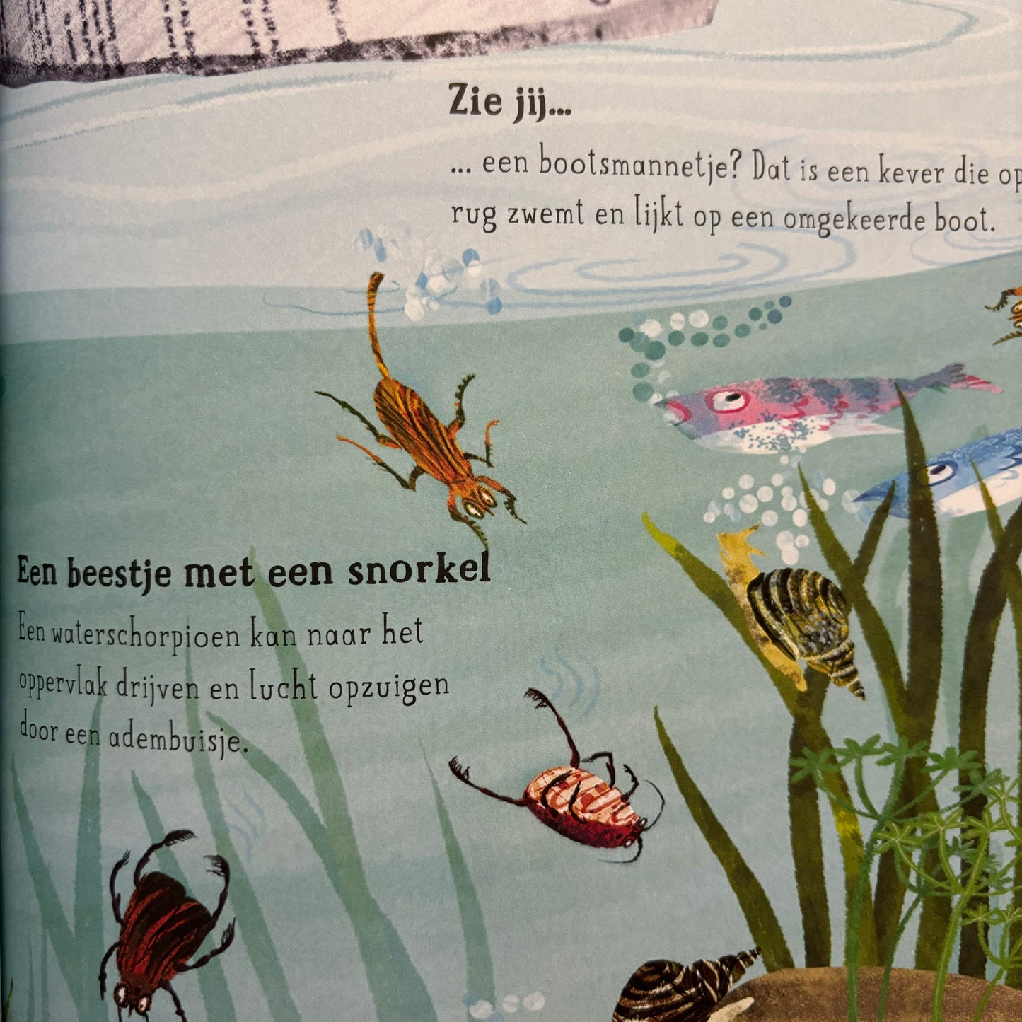 Het bijzondere beestjes boek