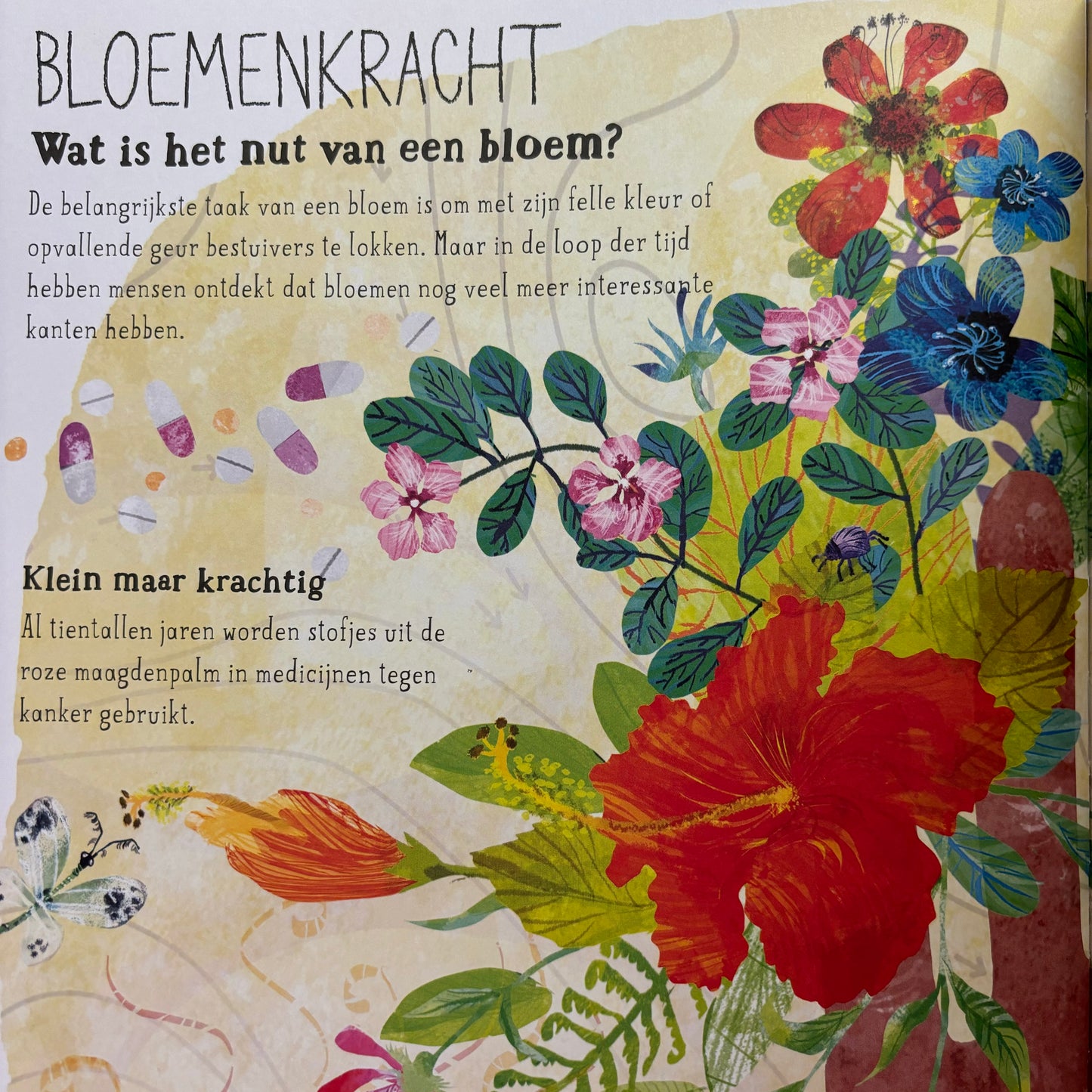 Het briljante bloemen boek