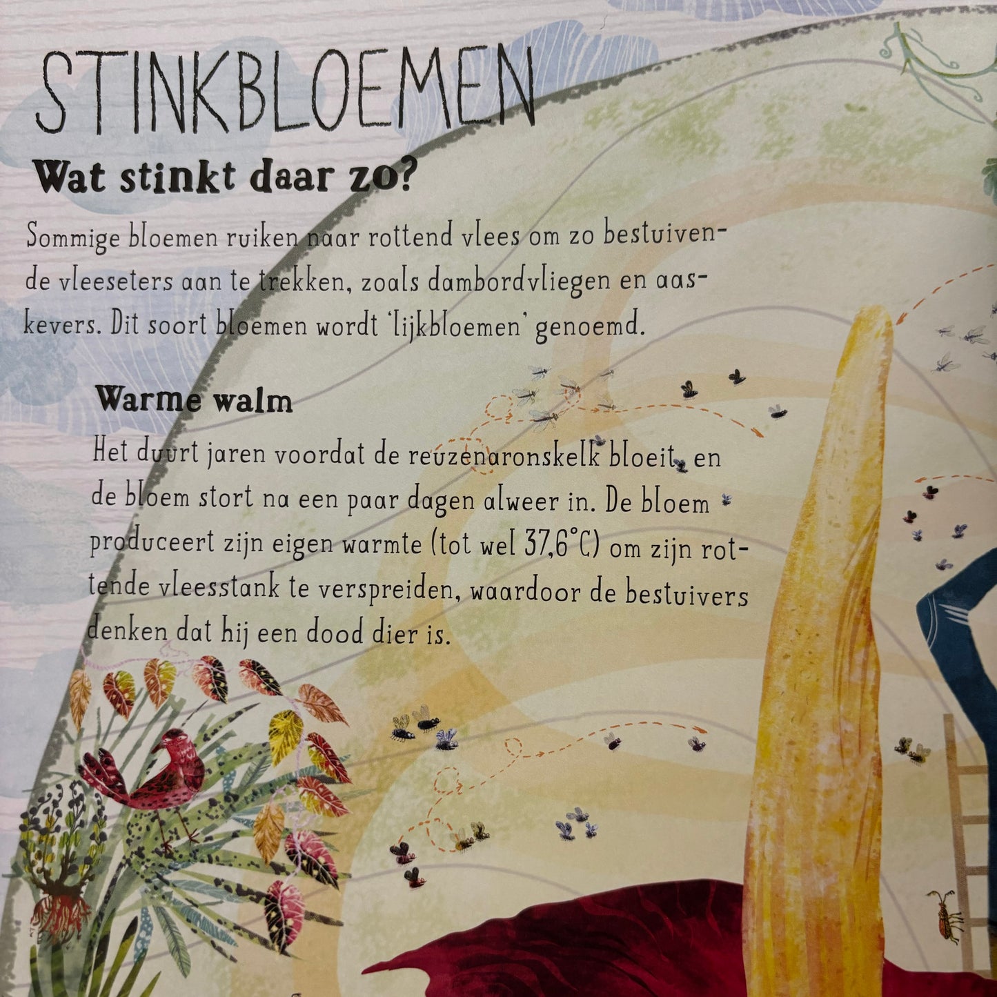 Het briljante bloemen boek