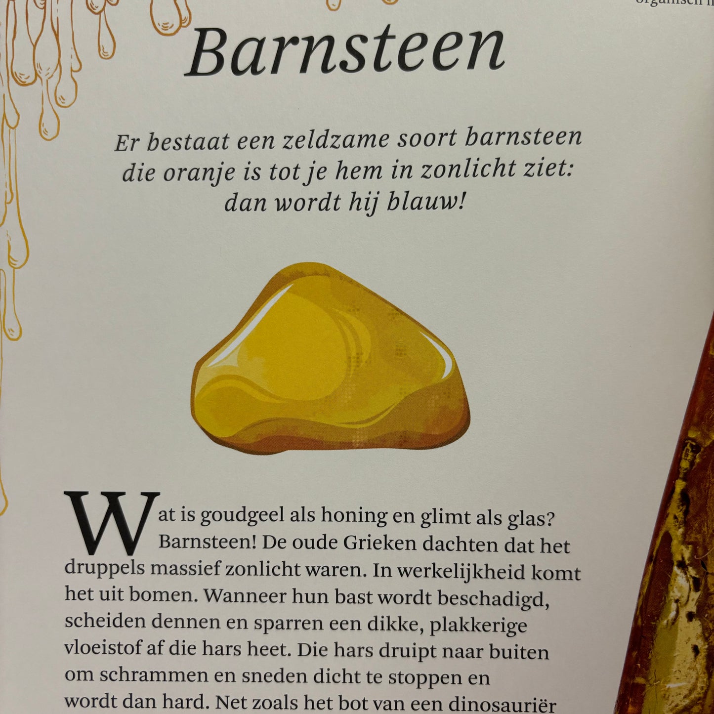 Het dikke boek van...