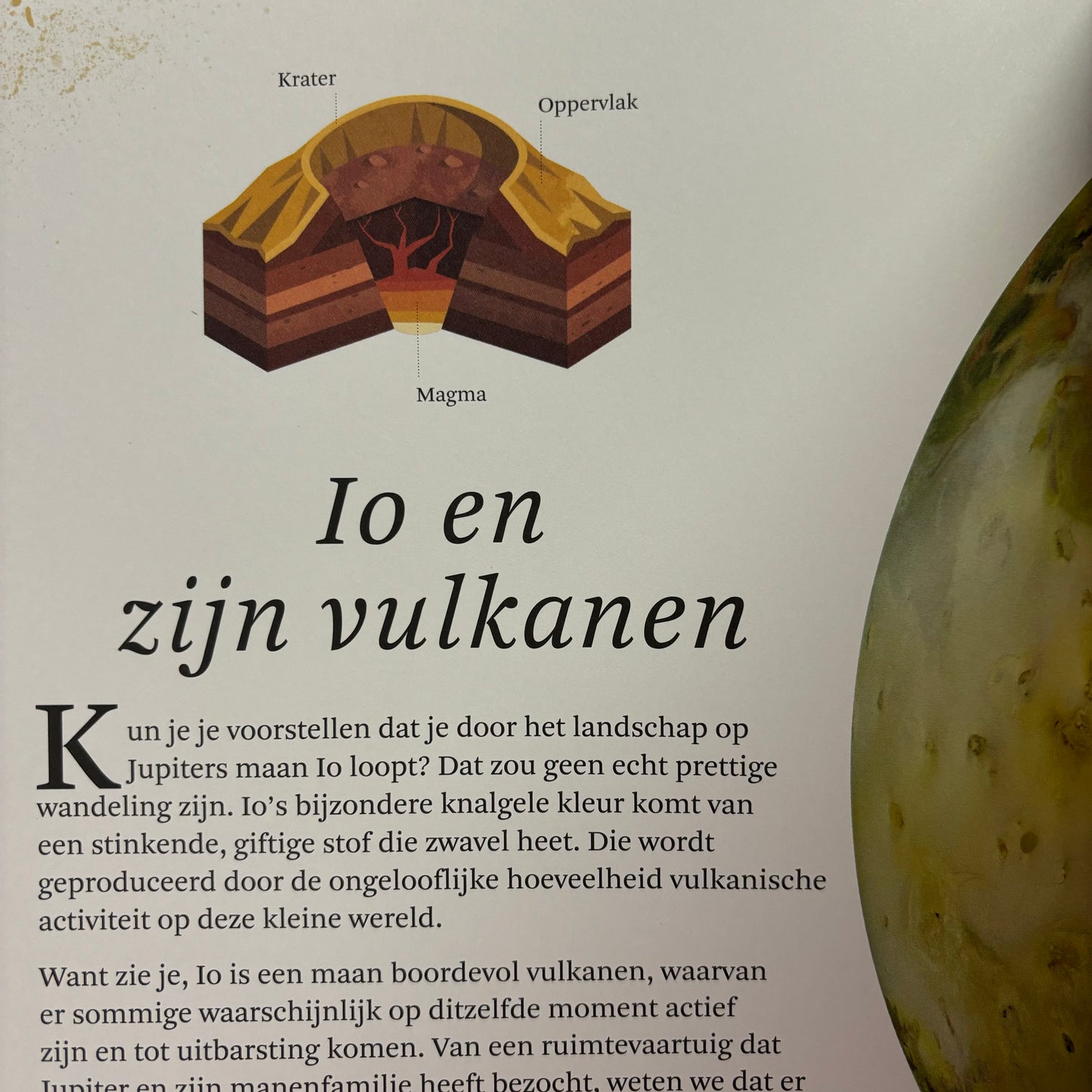 Het dikke boek van...