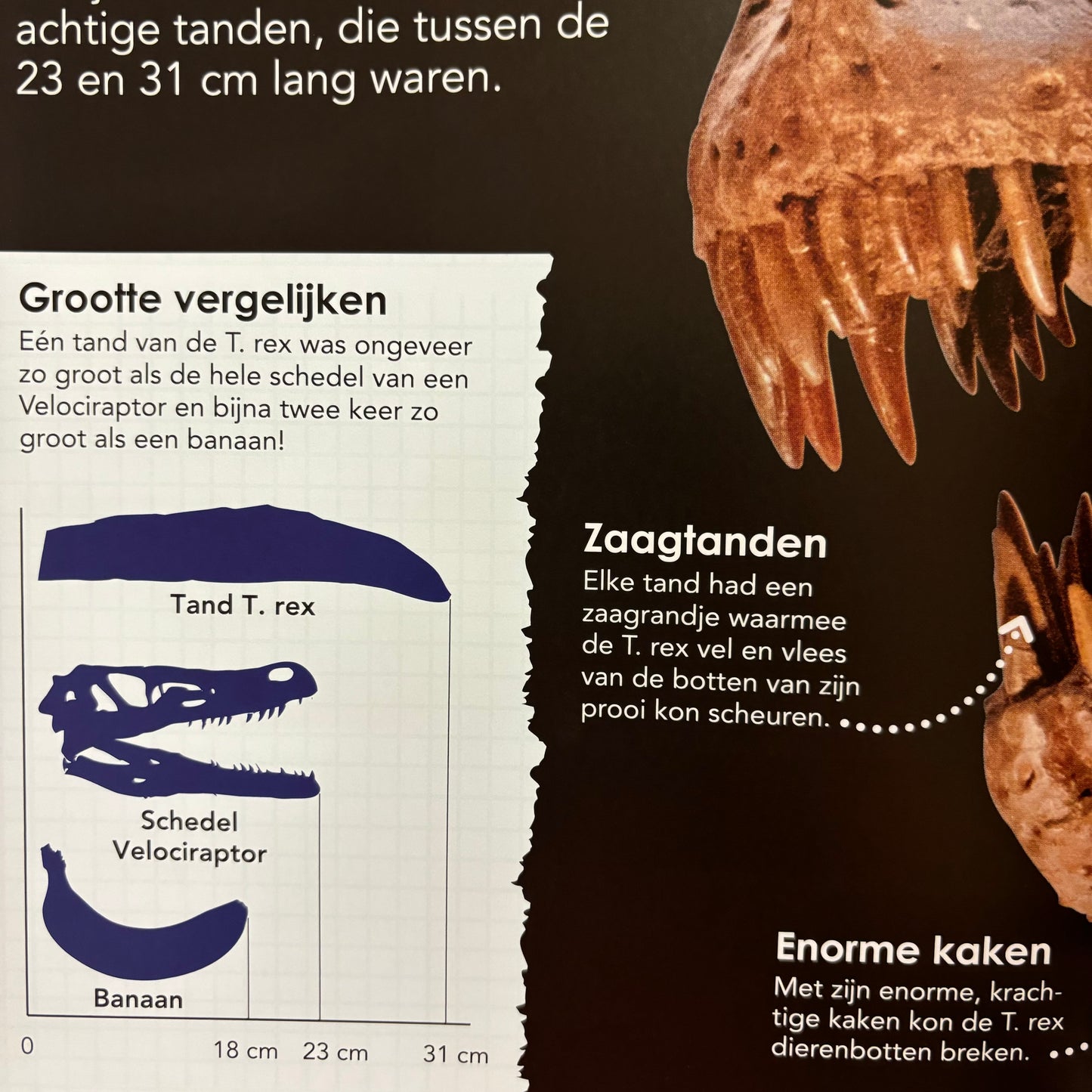 Waarom? de grote encylopedie over de...