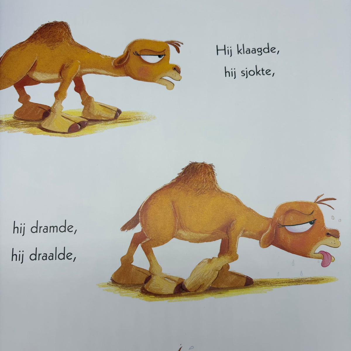 Lars de dwarse dromedaris