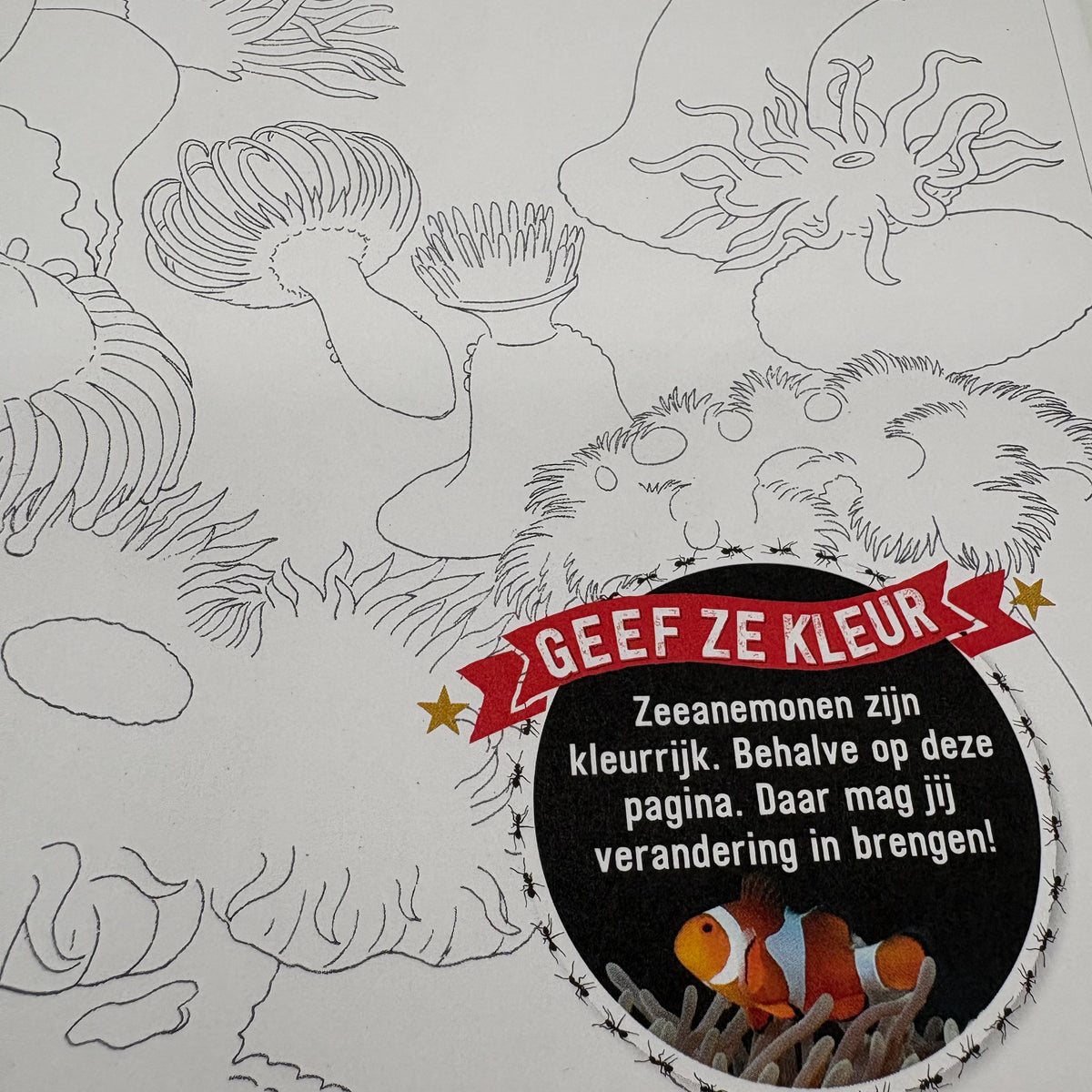 Het dubbel dikke doe-boek