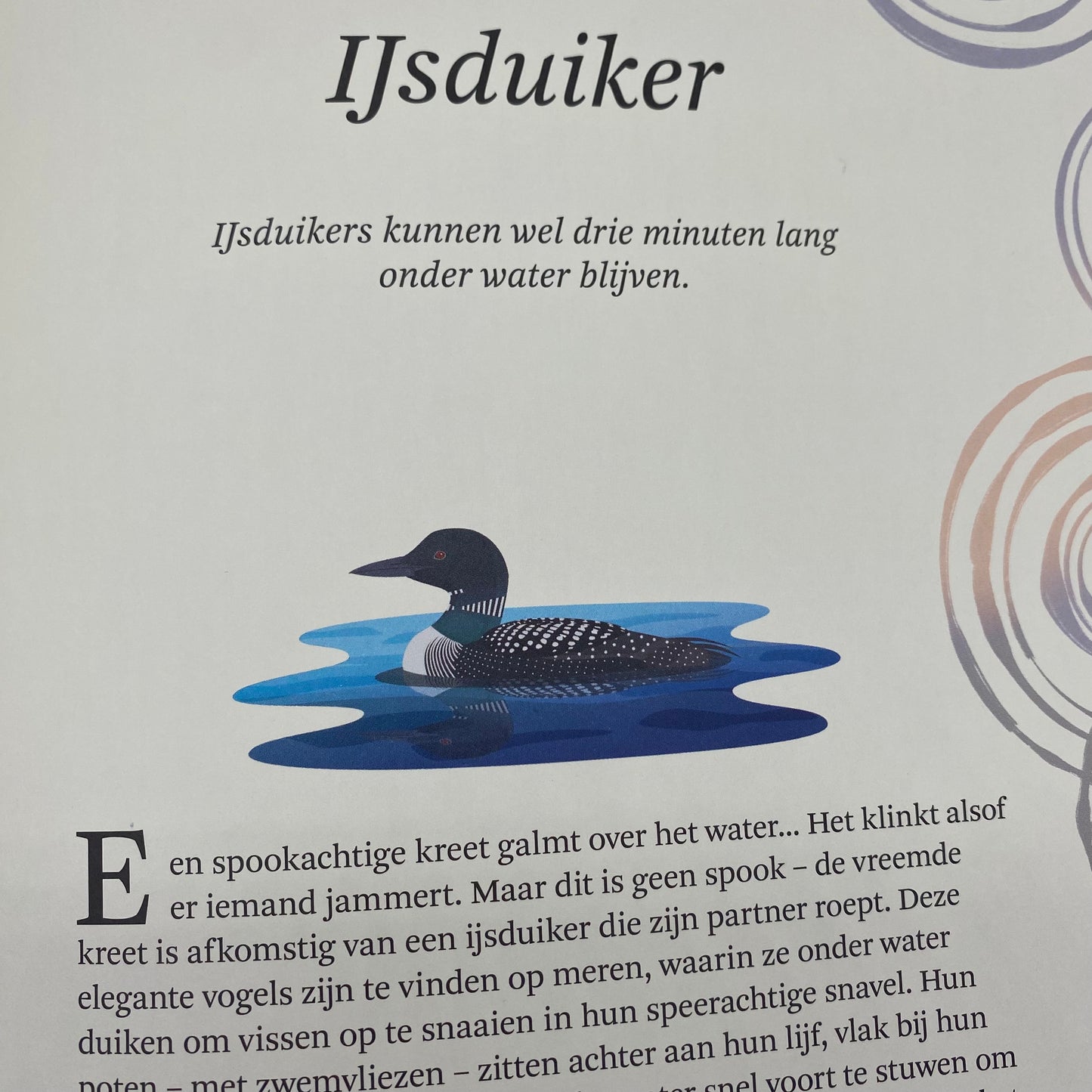 Het dikke boek van...