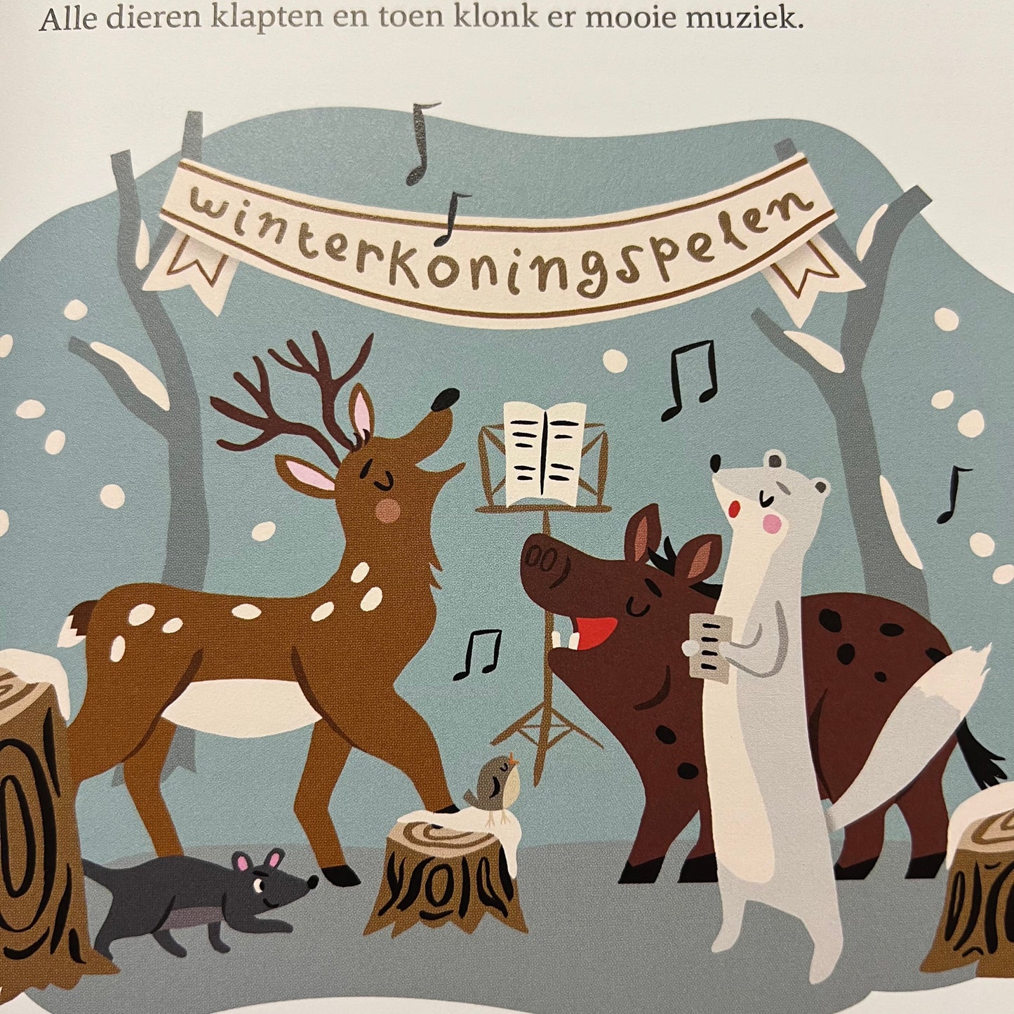 Het wonderlijke winterboek