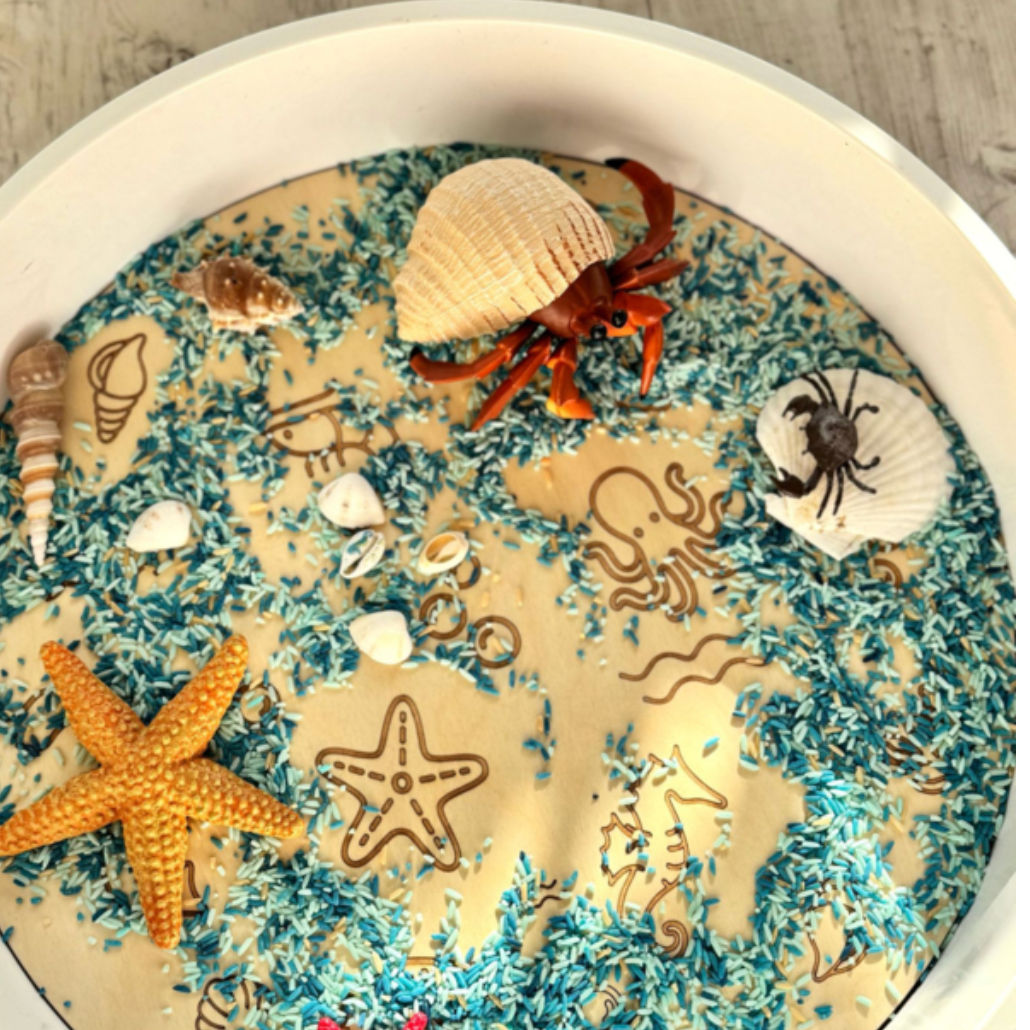 PlayPlate oceaan