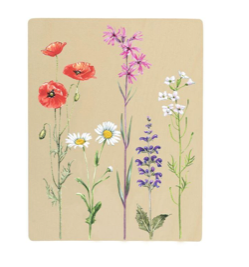 Bloemenpers met zonnepapier Moses